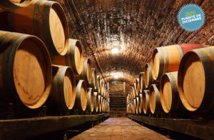 Cata + visita a Bodega ¡Elige entre mas de 150 en España!