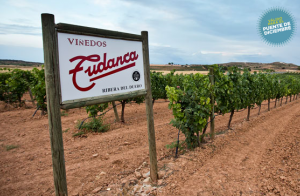 Ribera del Duero: 2 noches+comida+bodega