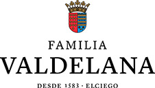 logo valdelana